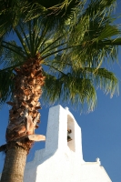 san carlos iglesia