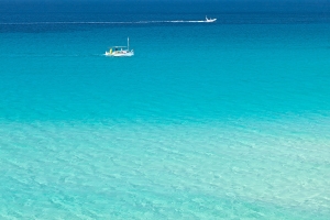 Cala Comte  (2)