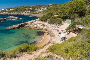Cala-Olivera-2019-3