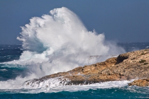 Sturm Portinax