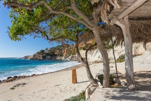 cala d' Hort  (14b)