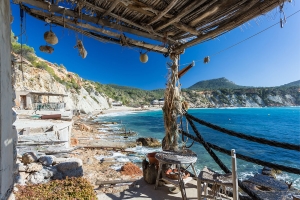 cala d' Hort  (6)
