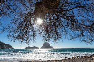 es Vedra  (15)