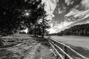 Südtirol sw (23)