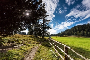 Südtirol (31)