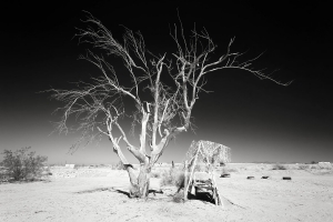 Slab City (3).jpg