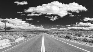 USA-19-sw_vin-011