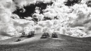 USA-19-sw_vin-013