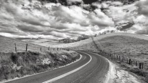 USA-19-sw_vin-014