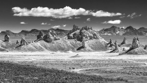 USA-19-sw_vin-016