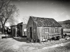 USA-19-sw_vin-030