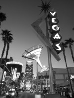 USA-19-sw_vin-032