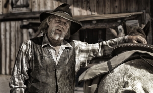 old Cowboy