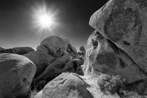 withe Tank, Joshua Tree NP.jpg