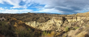 Tabernas (1)