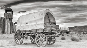 Tabernas sw (18)