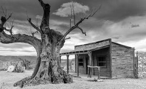 Tabernas sw (9)