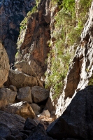Torrent de Pareis (25)