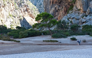 Torrent de Pareis (92)