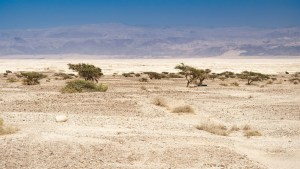 Timna-Park-001