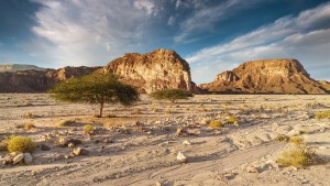 Timna-Park-003