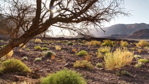 Timna-Park-004