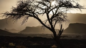 Timna-Park-005