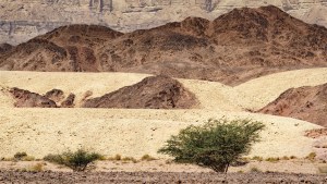 Timna-Park-006