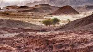Timna-Park-009