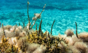 IMG_1982