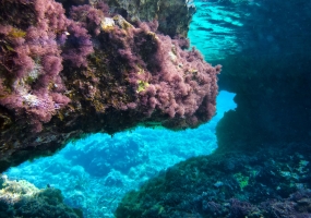 UW Cala Llonga Sep 12 neu