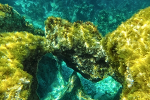 UW calo des illa (4a)