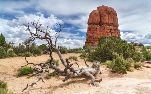 Arches NP (4)