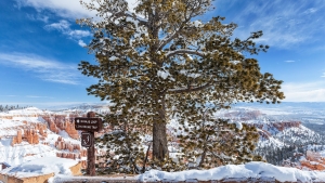 Bryce Canyon (13).jpg