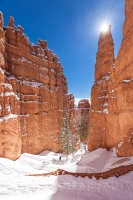Bryce Canyon (17).jpg