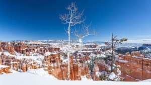 Bryce Canyon (20).jpg