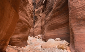 Buckskin Gulch (3).jpg