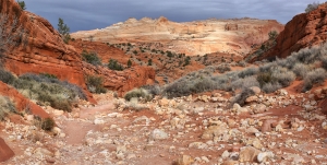 Buckskin Gulch and The Wave