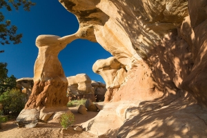 Devils Garden (2)