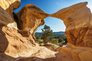 Devils Garden (3)