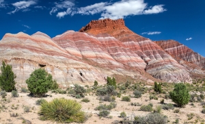 Rainbowrock (1)