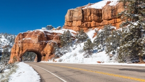 Red Canyon (1).jpg