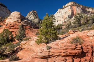Zion NP (6).jpg