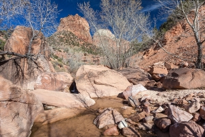 Zion NP (9).jpg